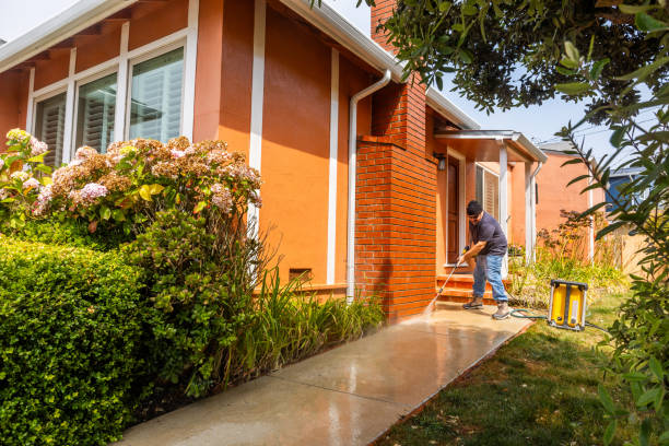 Best Affordable Pressure Washing  in Lake Dallas, TX