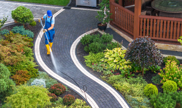 Best Exterior Home Cleaning  in Lake Dallas, TX